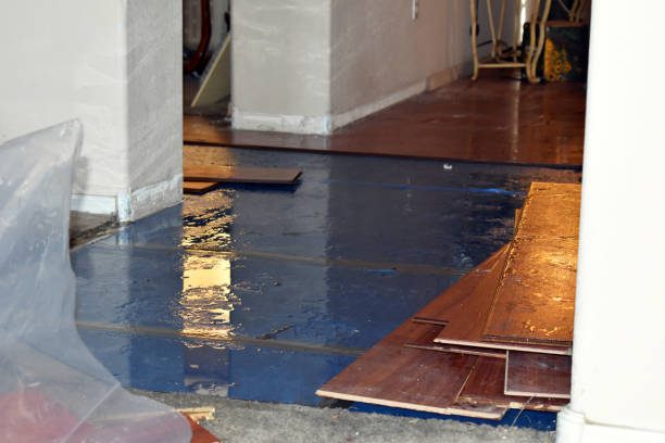 Professional Flood Cleanup technician working in Tipton, MI